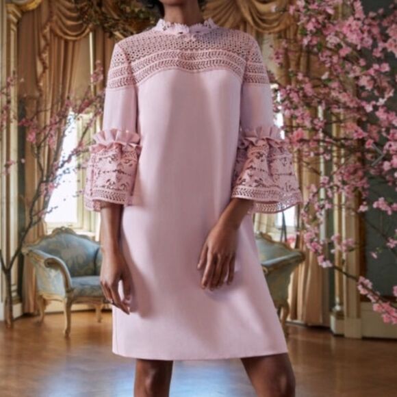 Ted Baker London Dresses & Skirts - Ted Baker London Lucila Blush Pink Shift Mini Dress With Panels 4
